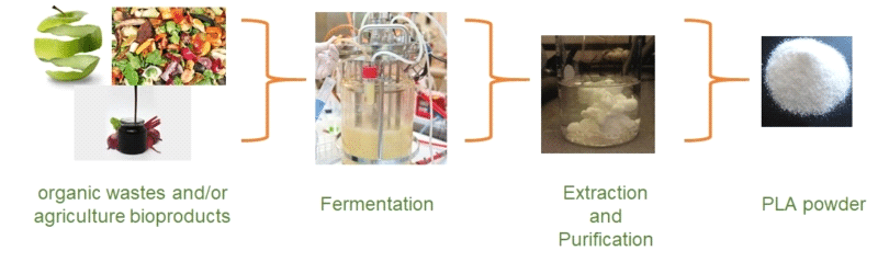 biopolimeri