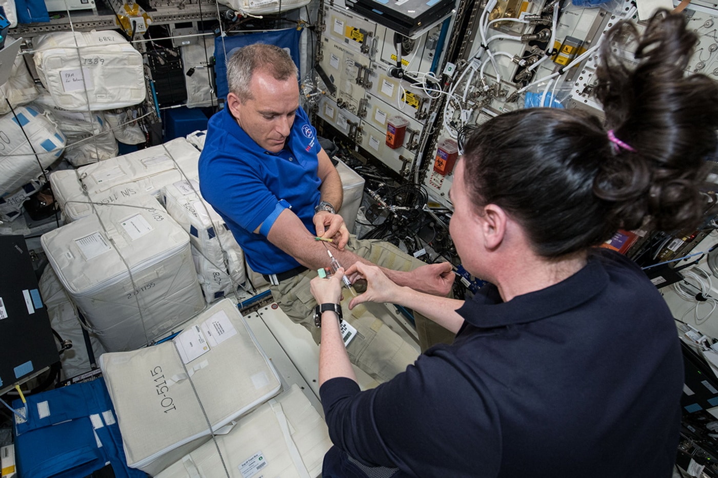 I campioni sono stati prelevati nella Stazione Spaziale Internazionale e poi rispediti sulla terra per eseguire le analisi. Credit: NASA