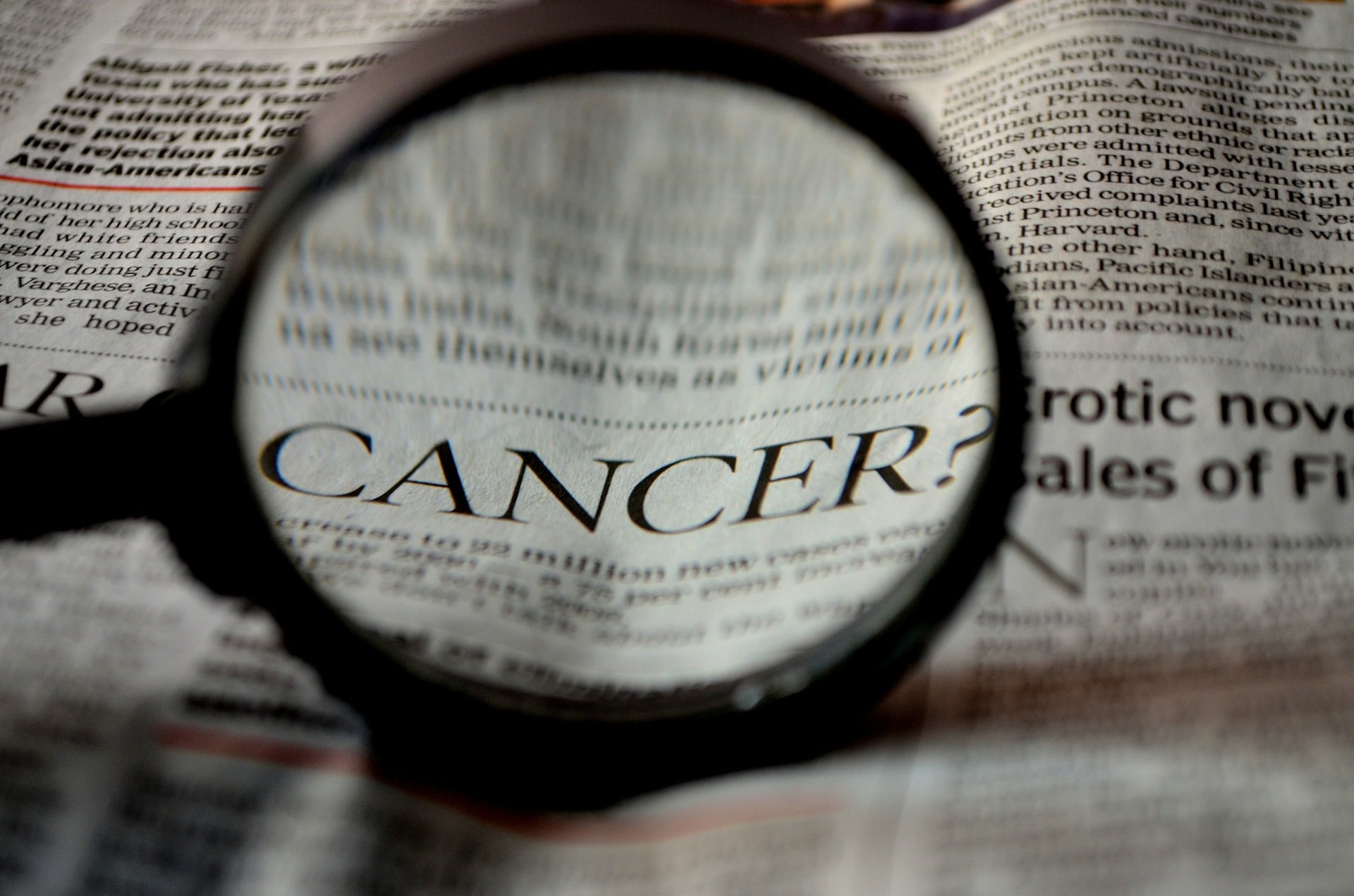 Stimolare il sistema immunitario per combattere il cancro: nuovi risultati nell'immunoterapia
