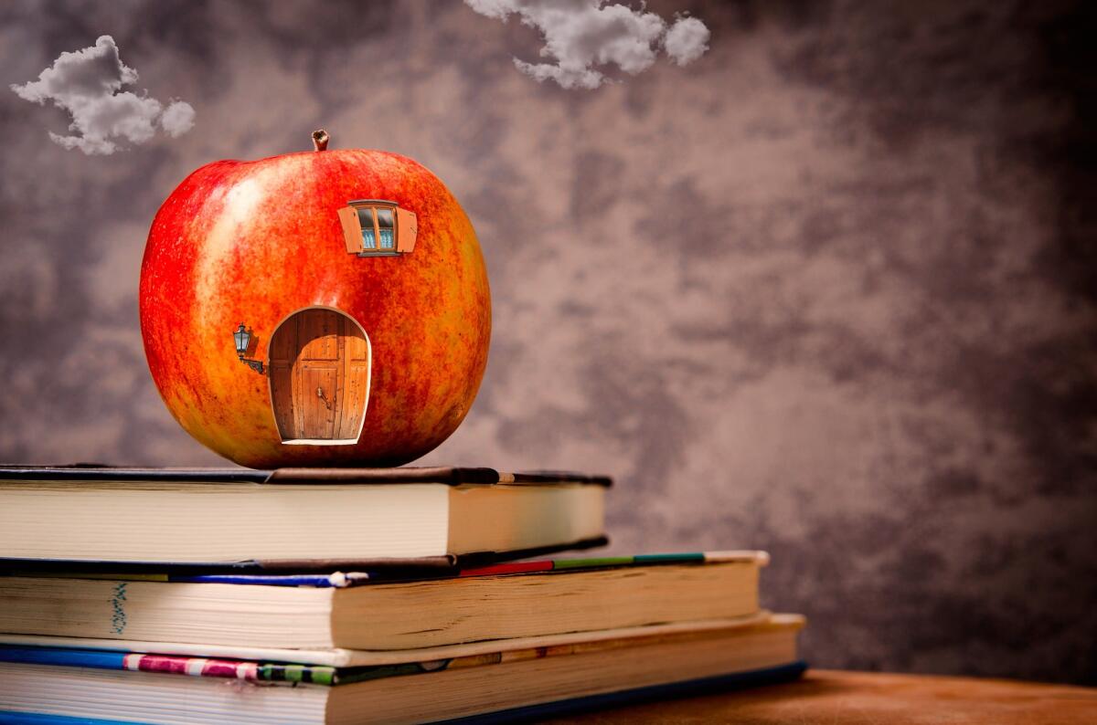 Home schooling: i requisiti e gli strumenti da utilizzare - 