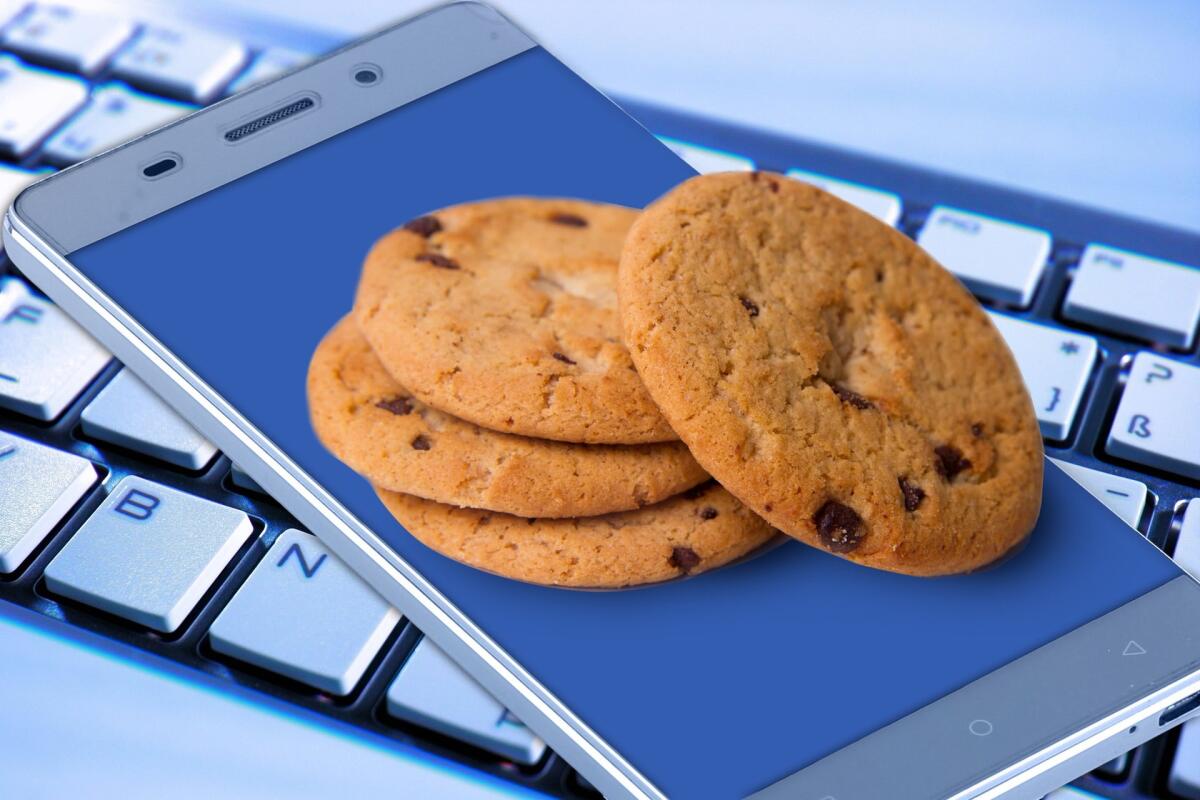 Google Privacy Sandbox: cos'è l'alternativa di Google ai cookie - 