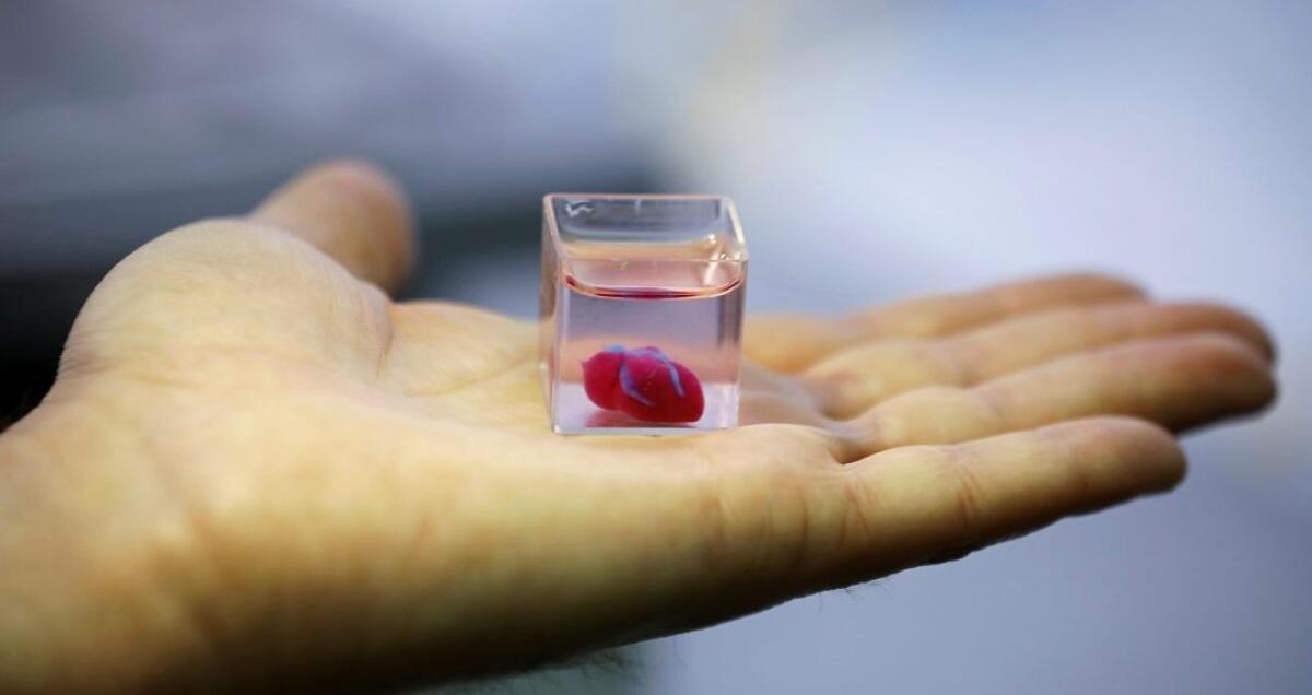 Electro spider: la bio stampante per tessuti e organi made in Italy - Primo mini-cuore vascolarizzato stampato in 3D
Credits: REUTERS/Amir Cohen TPX