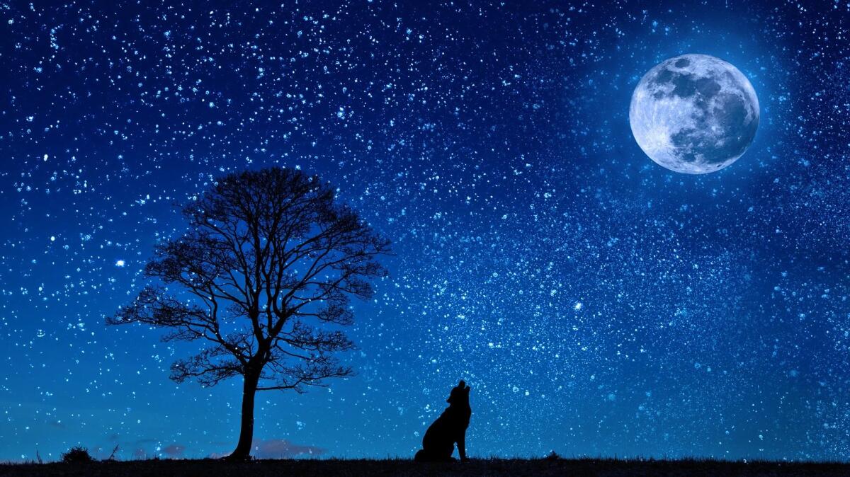L'importanza della luna nella ricerca di pianeti abitabili - 