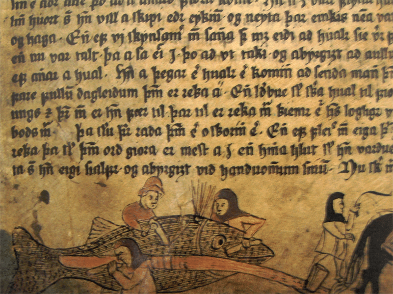 Miniatura di una macellazione di una balena in Islanda. Fonte: Wikimedia Commons