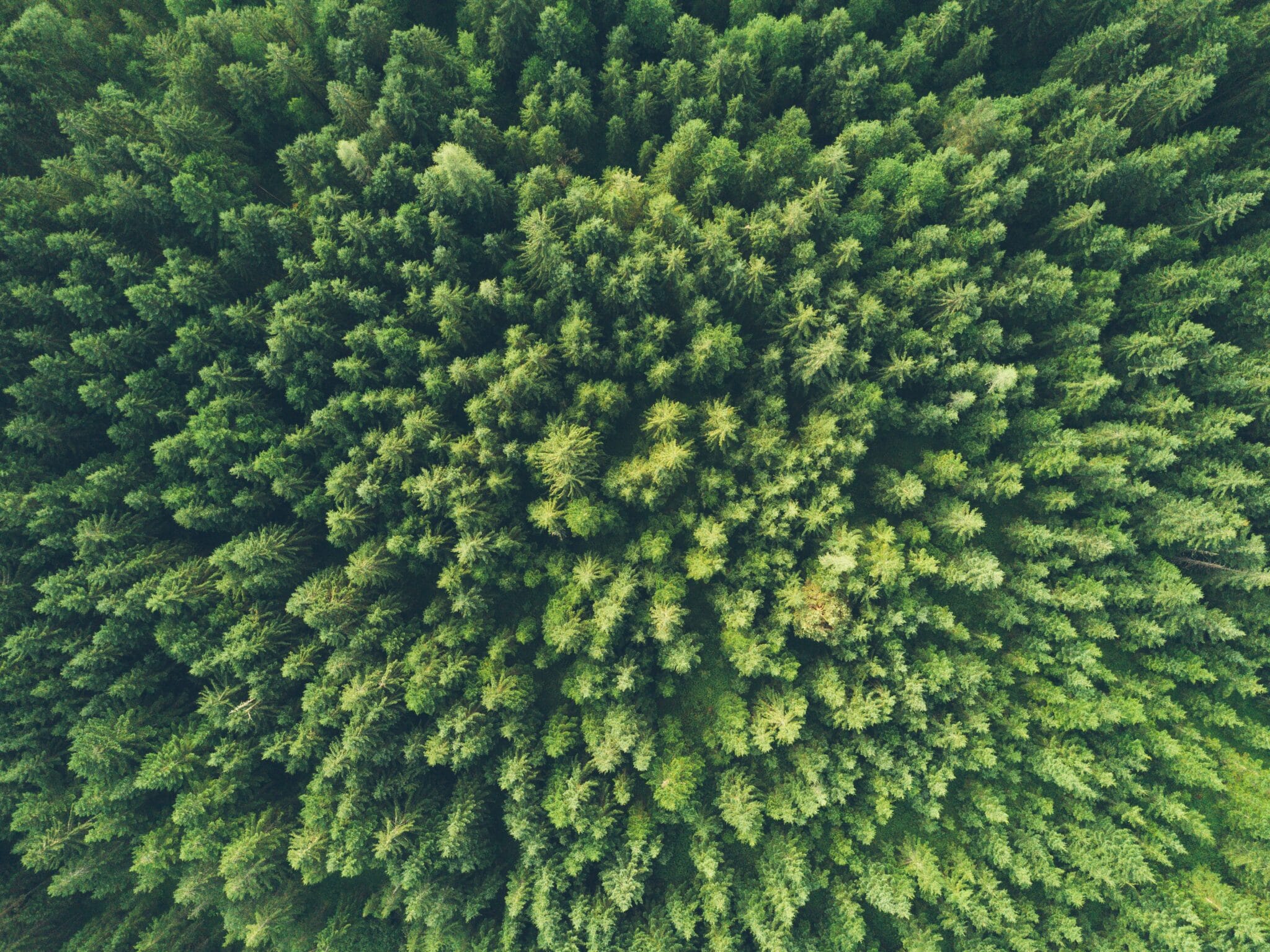 unsplash.com