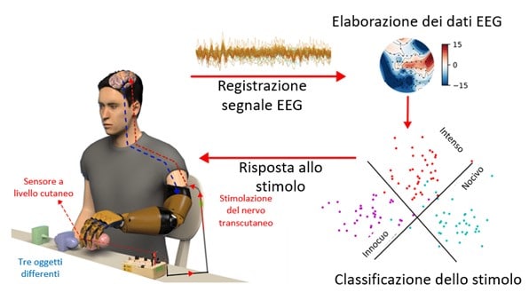 Rappresentazione schematica del sistema in grado di consentire al paziente di “comandare” la propria protesi - Credits: Nature.com