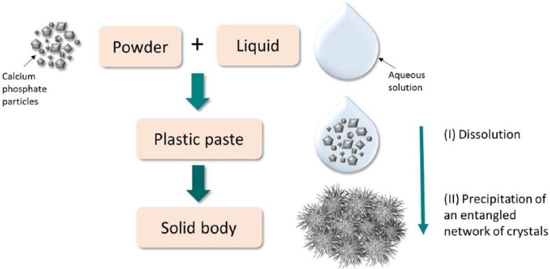 Credits: Ginebra, Maria-Pau, et al. "Bioceramics and bone healing." EFORT open reviews 3.5 (2018): 173-183.