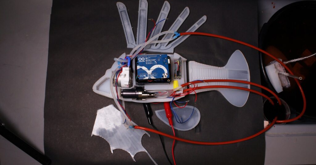 Credit: James Pikul - The internal components of the soft-bodied robotic fish