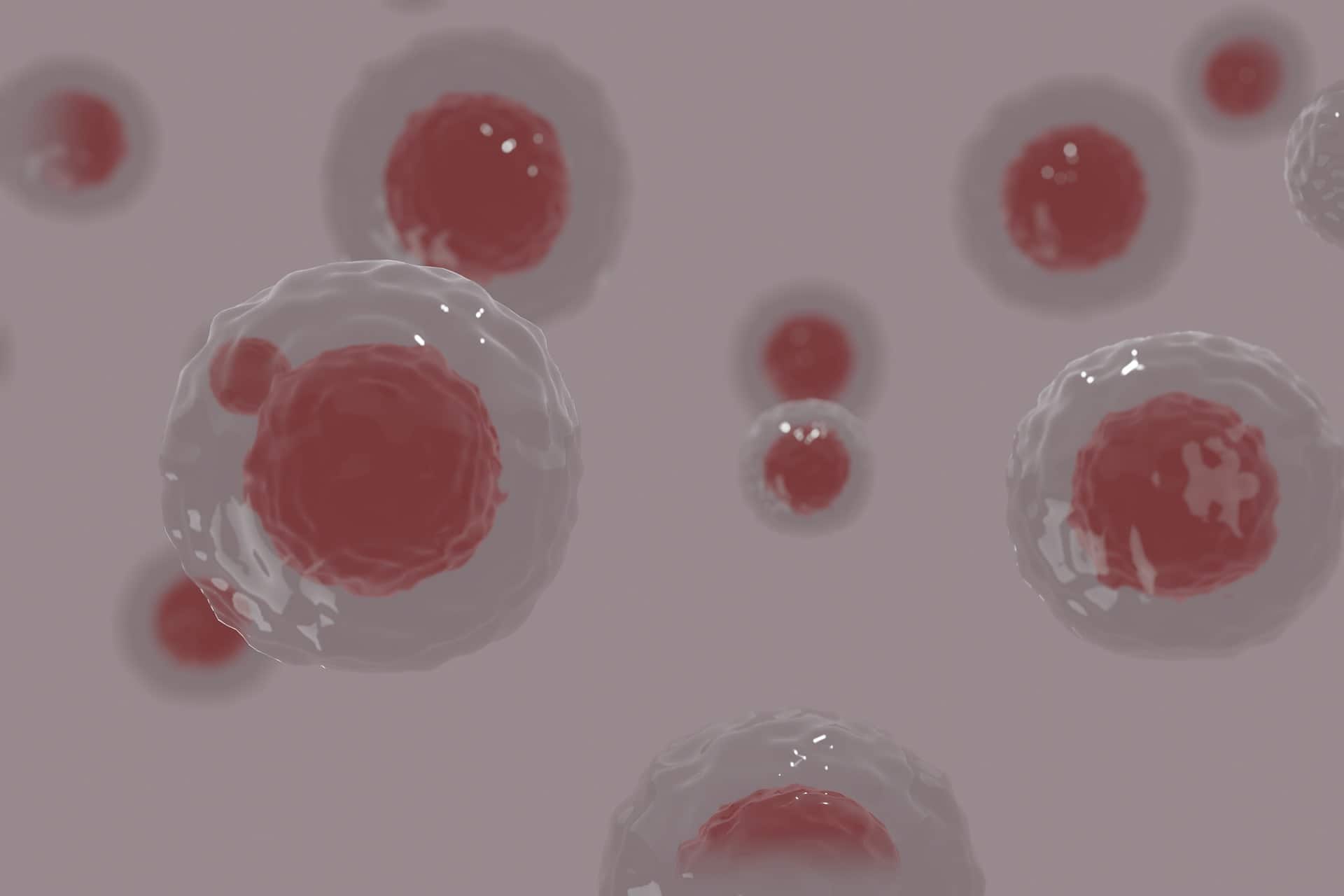 Un nuovo modello per trattare la fibrosi senza l’utilizzo degli animali