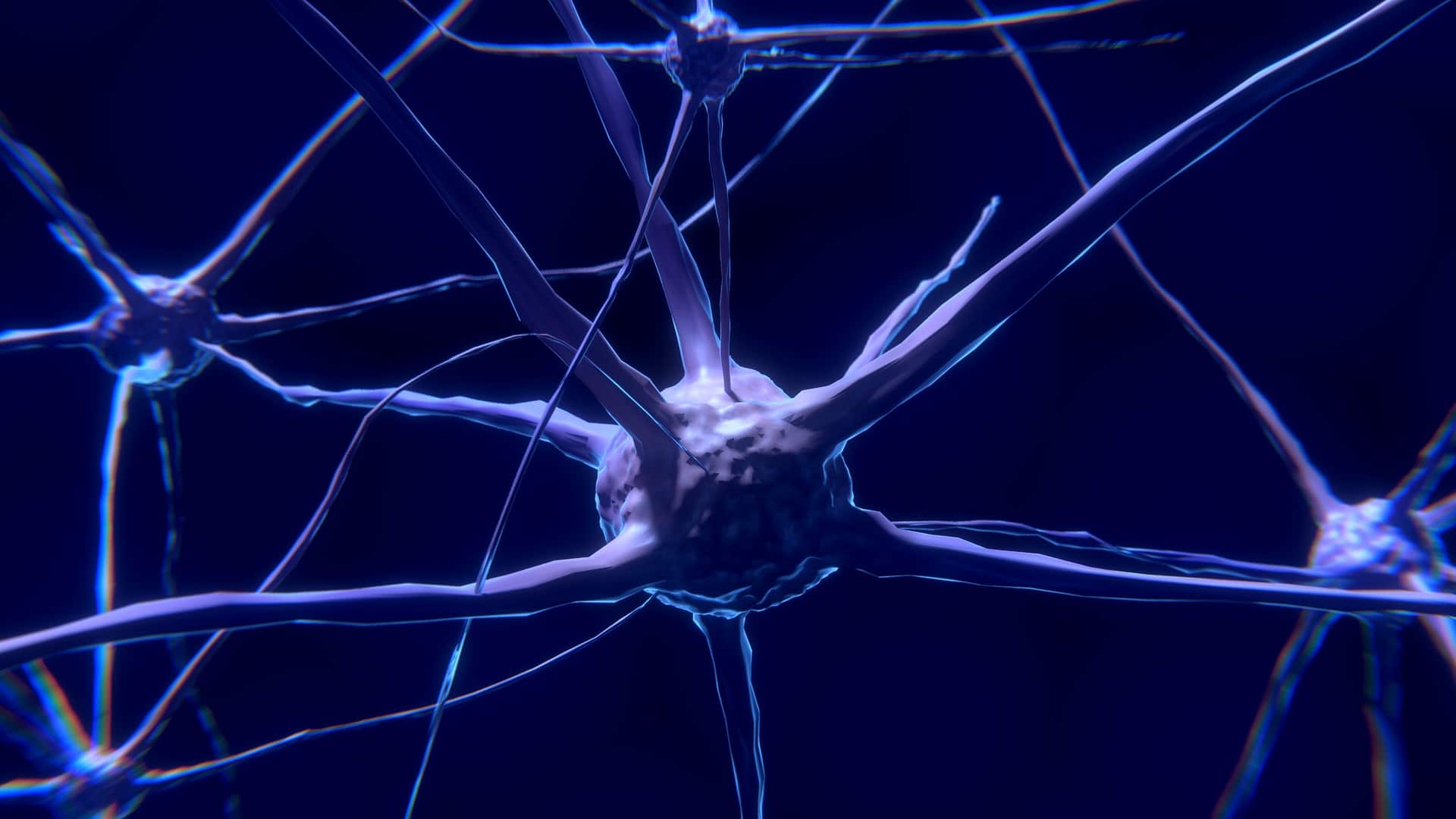 uva parkinson