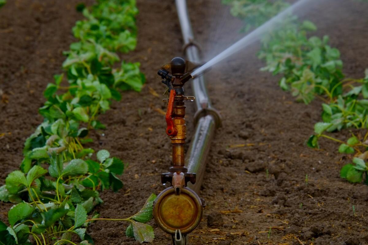Acque reflue per l'irrigazione e la fertilizzazione di campi - Pixabay.com