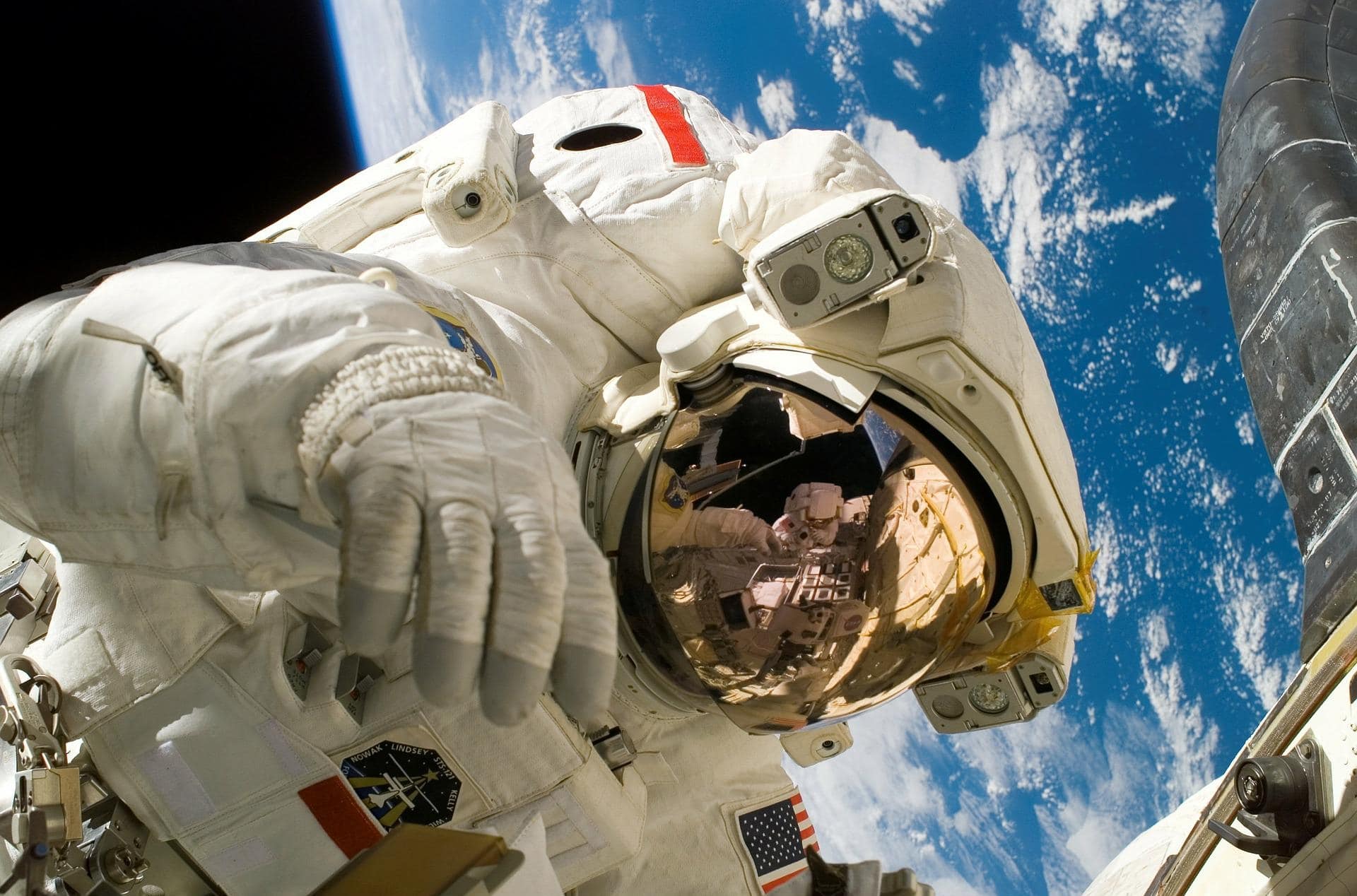 Il PoliTO vola nello spazio con il progetto “Artery in Microgravity”