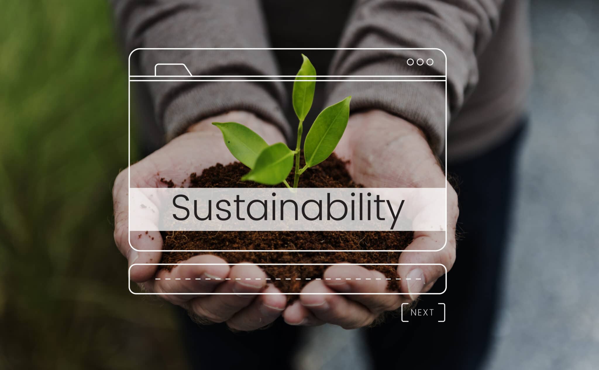 Greenwashing