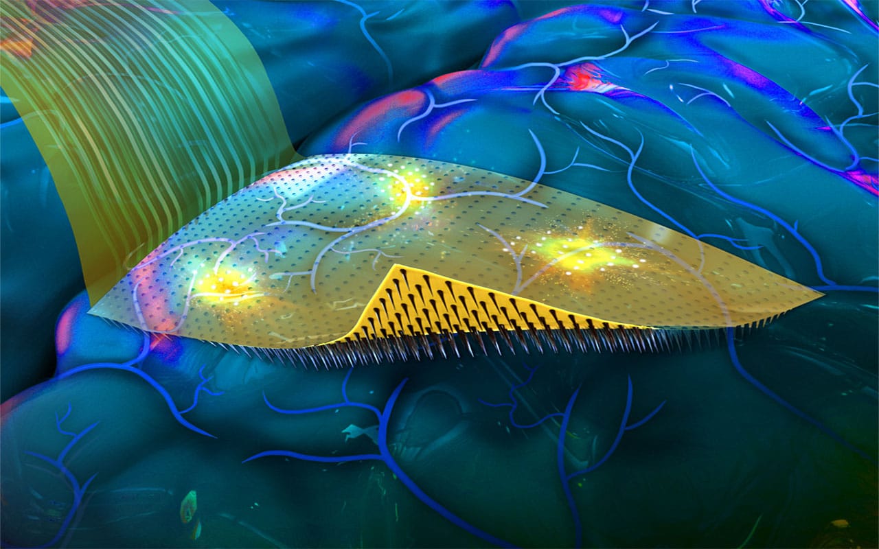 Rappresentazione di come dovrebbe apparire l'interfaccia flessibile. Credit: UC San Diego