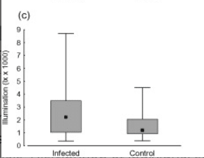 Performance di chiocciole Succinea putris osservate contemporaneamente contenenti sacchi di covata pulsanti di Leucochloridium paradoxum (= infetti) e di individui S. putris apparentemente non infetti (= controllo). La distribuzione dei punteggi individua