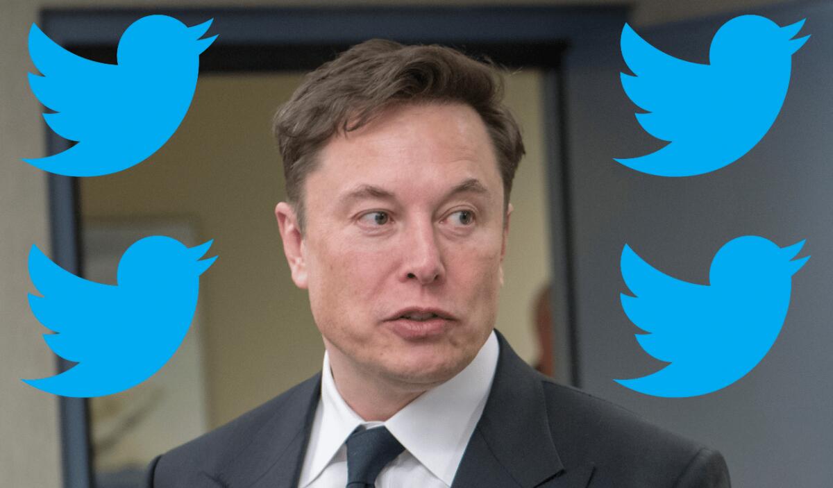 Elon Musk ha acquistato Twitter per 44 miliardi di dollari - 