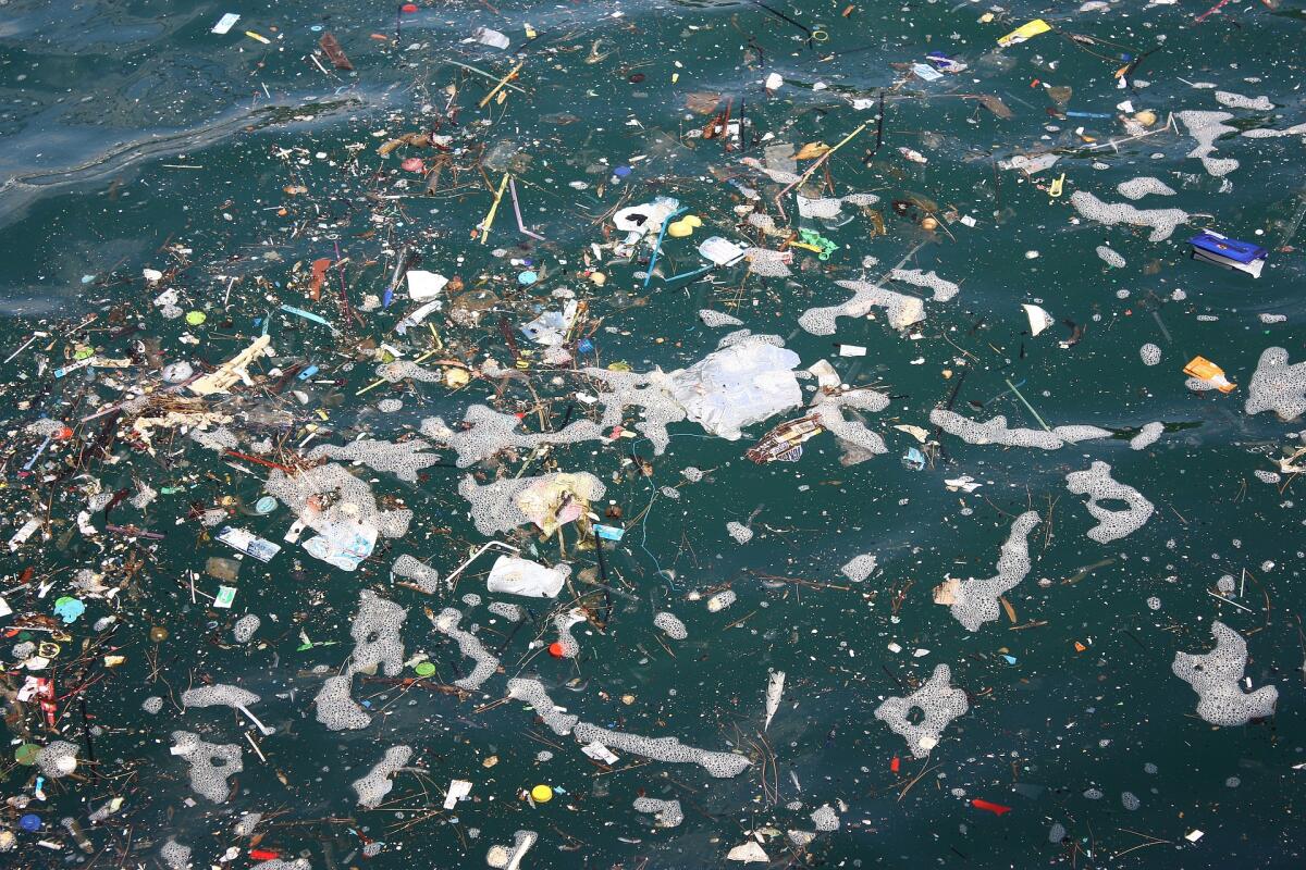 Mare inquinato: possibile ripulirlo grazie a processi elettrochimici - 