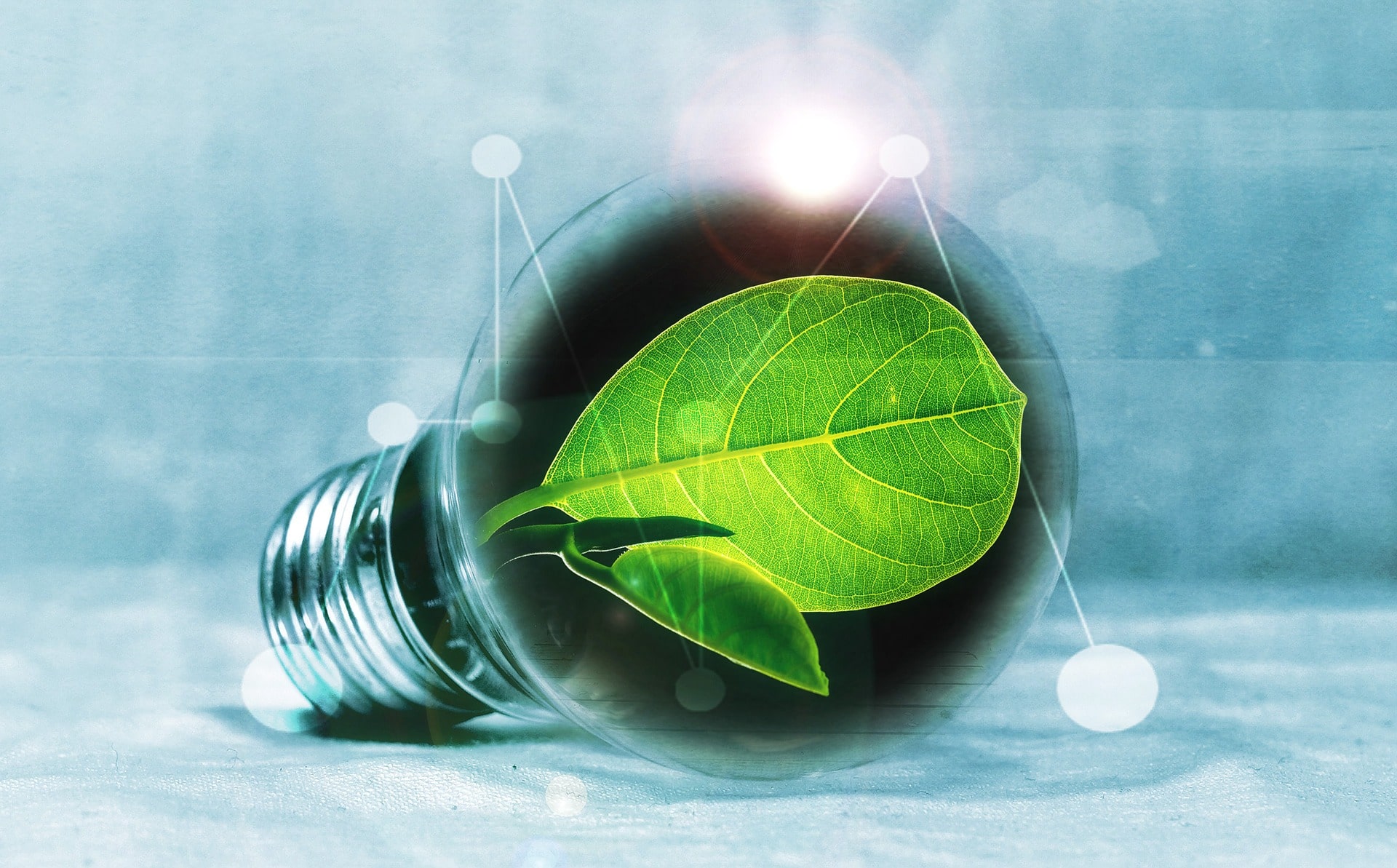 Sostenibilità, innovazione e transizione energetica: nasce Eni Joule for Entrepreneurship, un premio per le imprese che sapranno distinguersi.