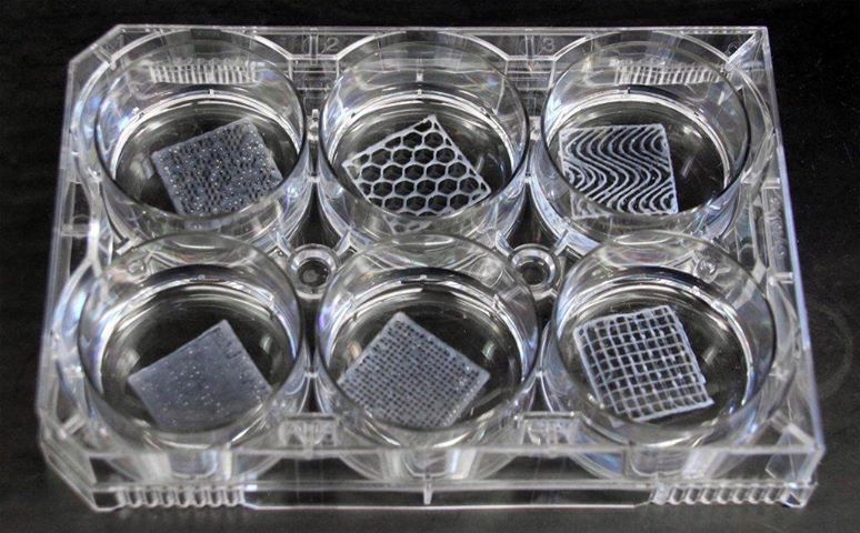 Set di scaffold realizzati con 3D Bioplotter Envisiontec