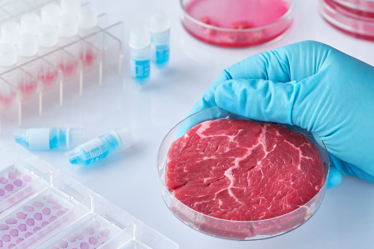 Carne coltivata in laboratorio Credits: Habitante