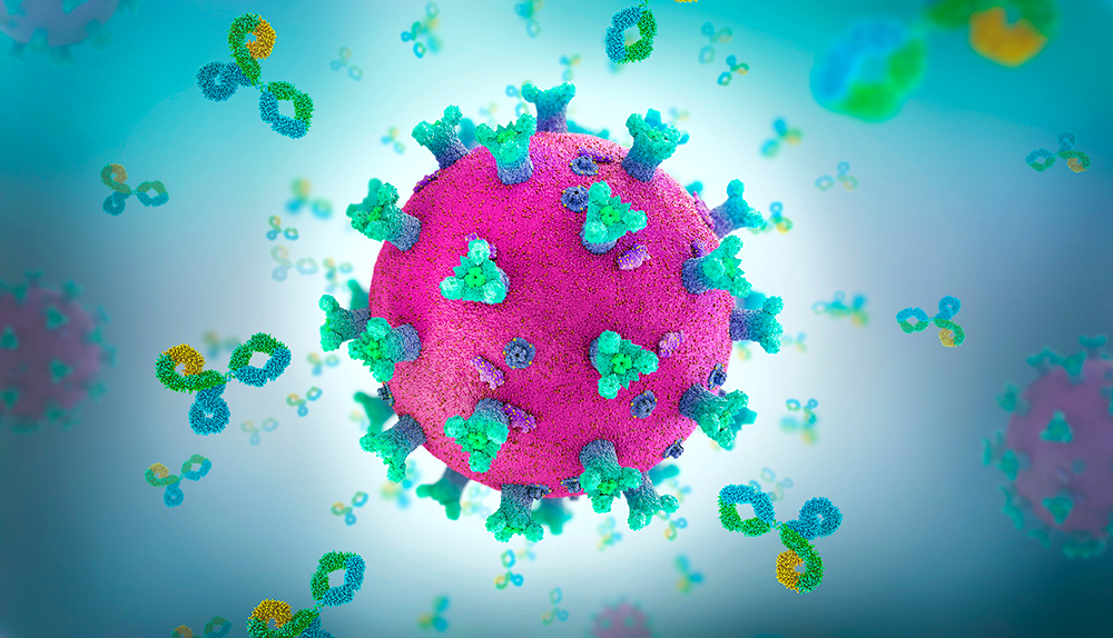 Anticorpi monoclonali: utili come profilassi contro il virus Covid-19