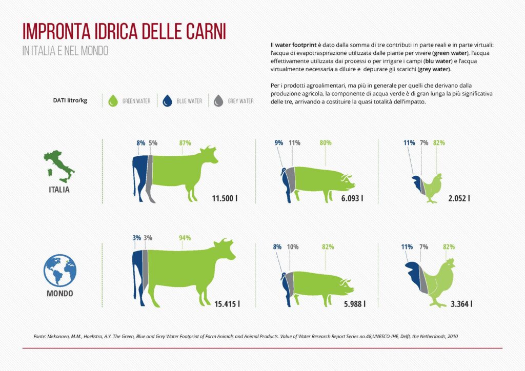 Credits: BioEcoGeo