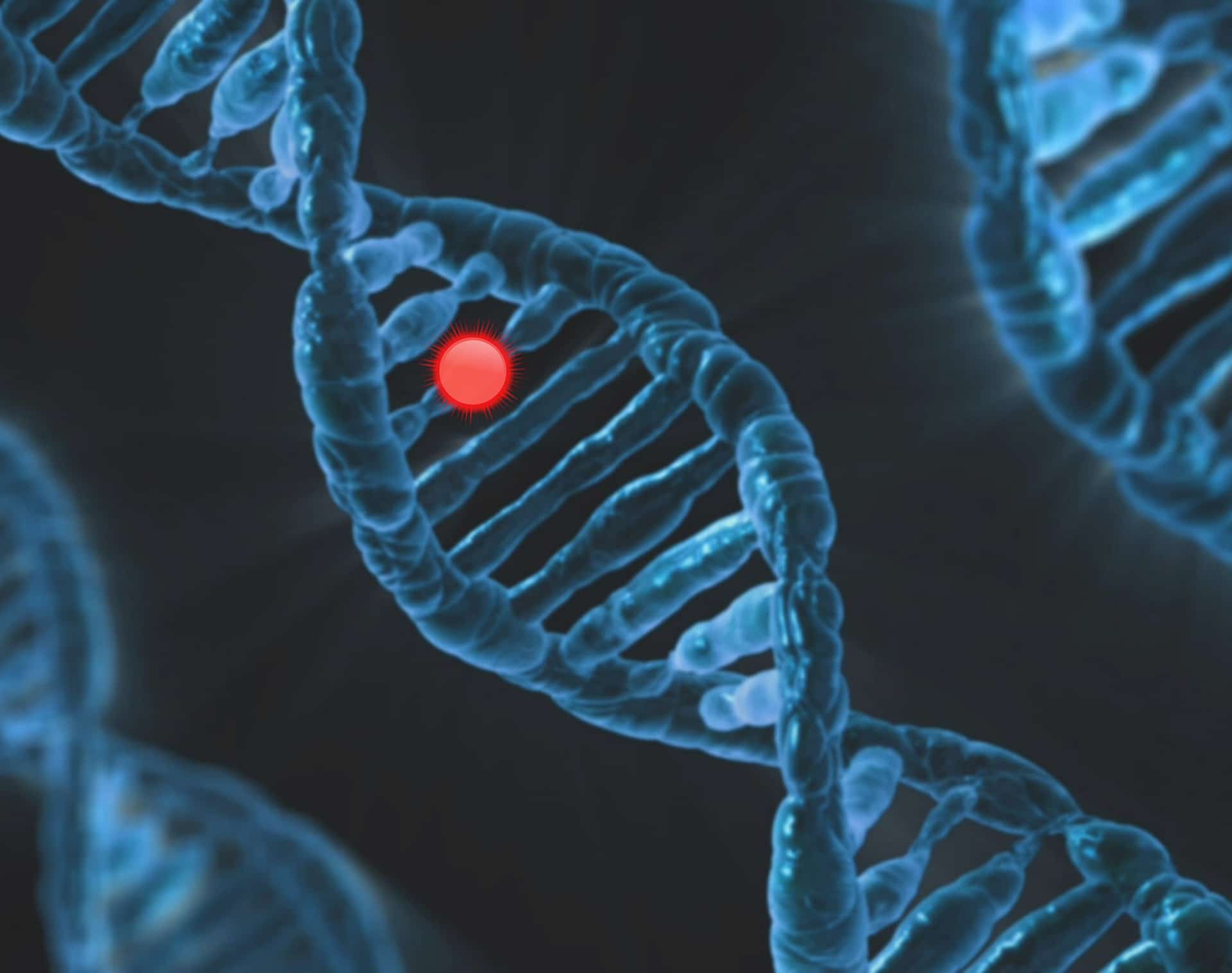 Alzheimer: identificati nuovi geni che innescano la malattia