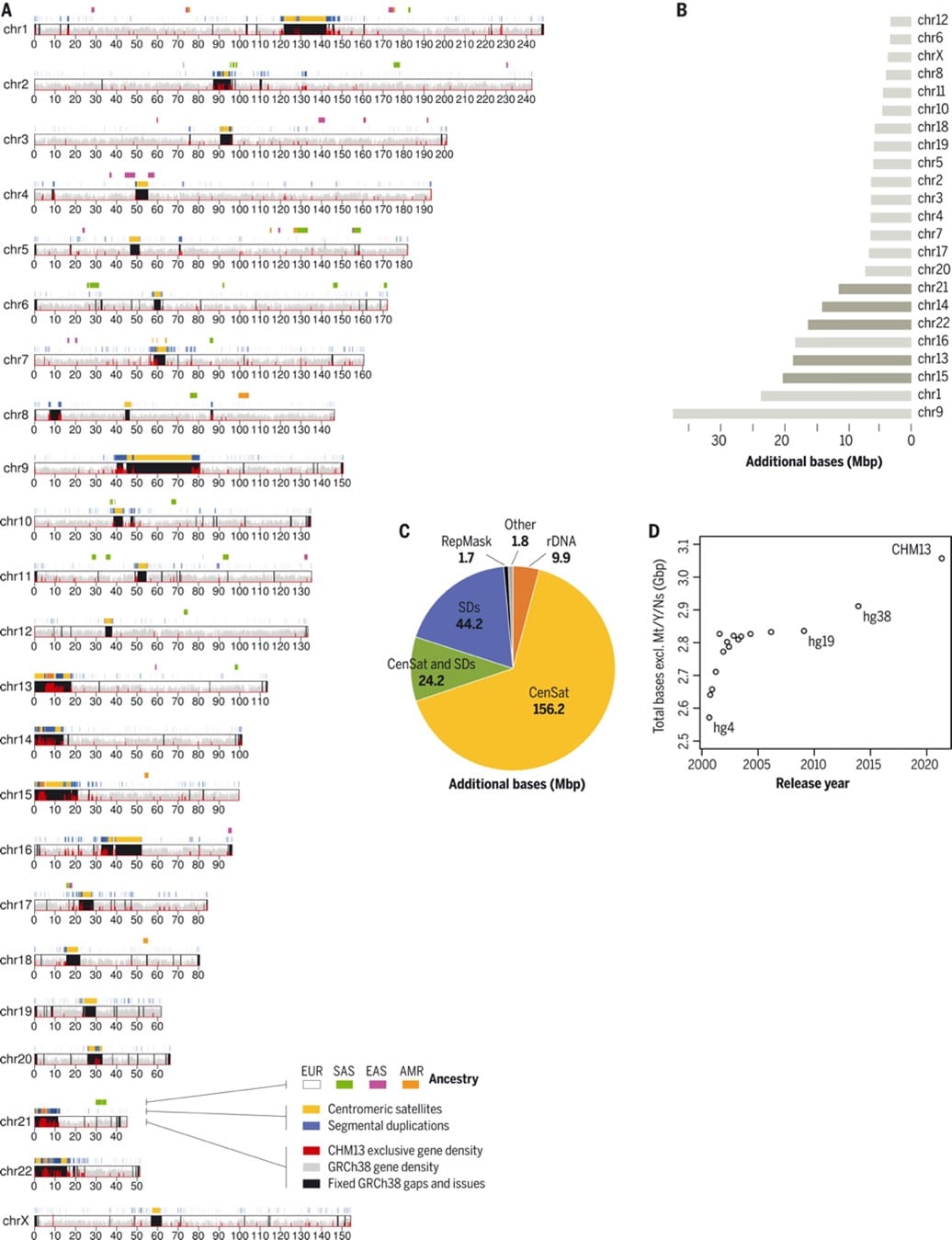 Riassunto dell'assemblaggio completo del genoma umano T2T-CHM13 -Credits: Science