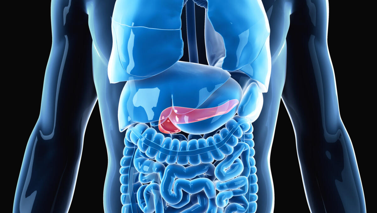 Cancro al pancreas: una nuova scoperta promettente? - Tumore del pancreas: nuova strategia con vaccino e chemioterapia