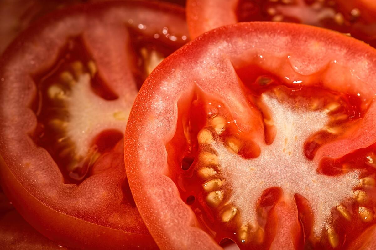 Pomodoro "biofortificato": un nuovo aiuto contro la carenza di vitamina D - 