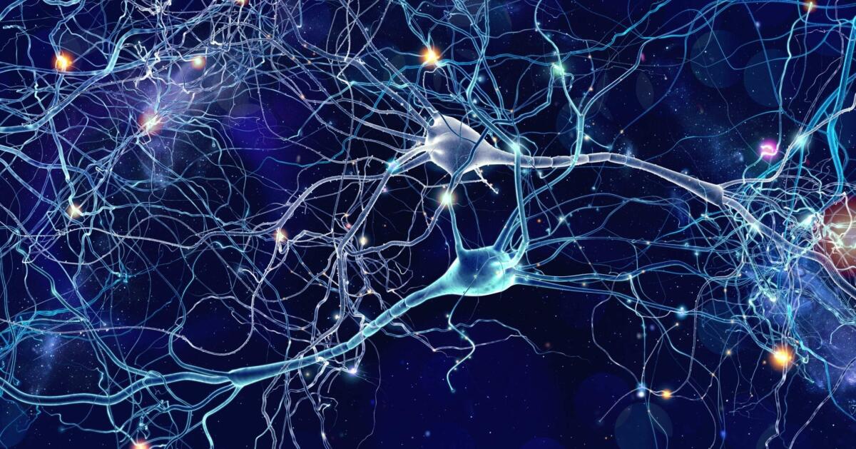 PoNS™: il primo dispositivo di stimolazione elettrica per la sclerosi multipla - Credits: Il Bo Live - Unipd