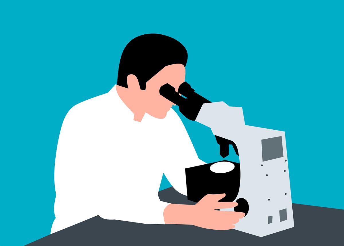 Cellule staminali muscolari capaci di ripararsi: il futuro della riabilitazione - 