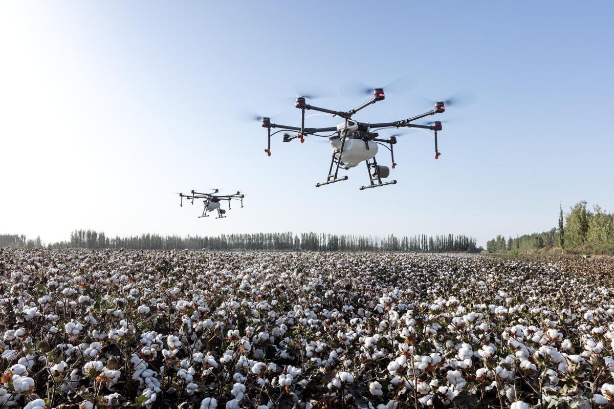 Sciame di droni a guida autonoma attraverso set up non controllati - 