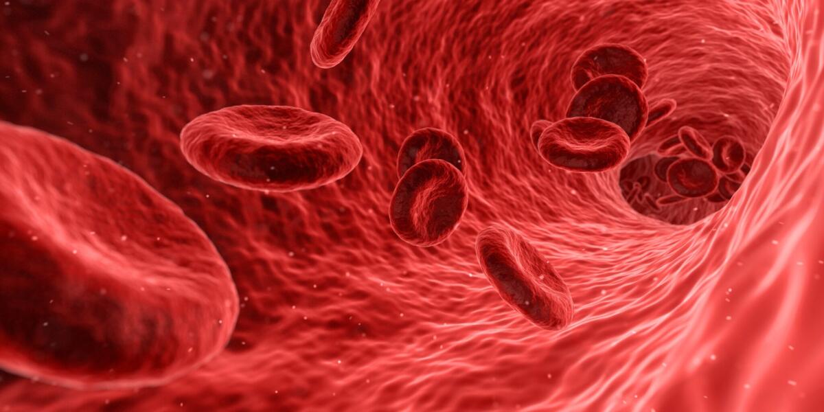 Beta-talassemia: nuova terapia riduce le trasfusioni del 33% - 