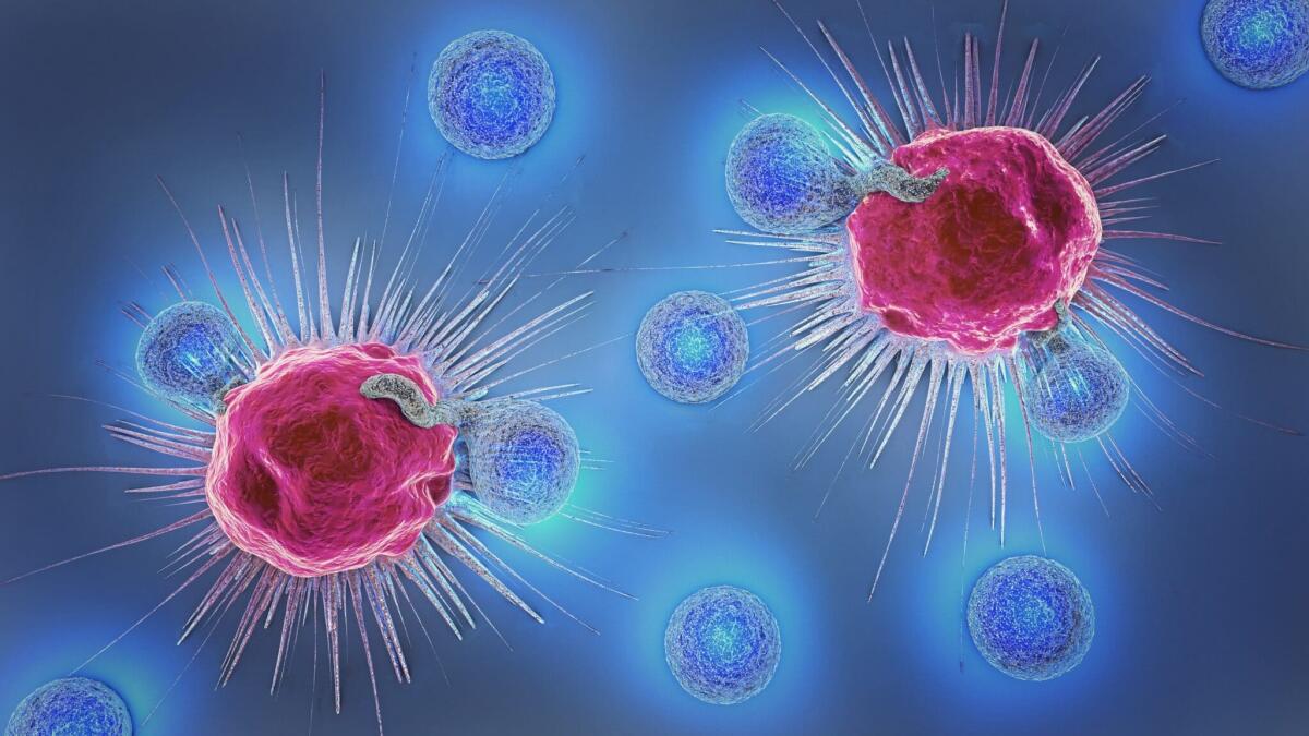 Radioterapia FLASH: un intero ciclo somministrato in un secondo - Credits: Unifimagazine