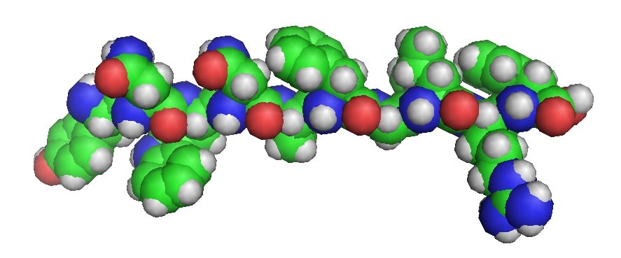 Struttura della kisspeptina - Credits: www.biosyn.com