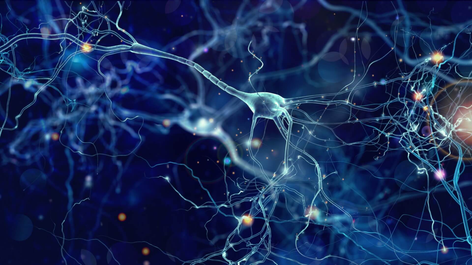 Focus su un neurone in sinapsi. Credits: MediMagazine