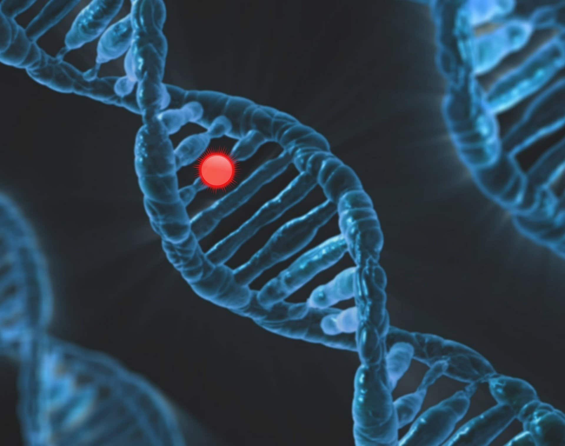 La mappa delle mutazioni genetiche alla base dei tumori