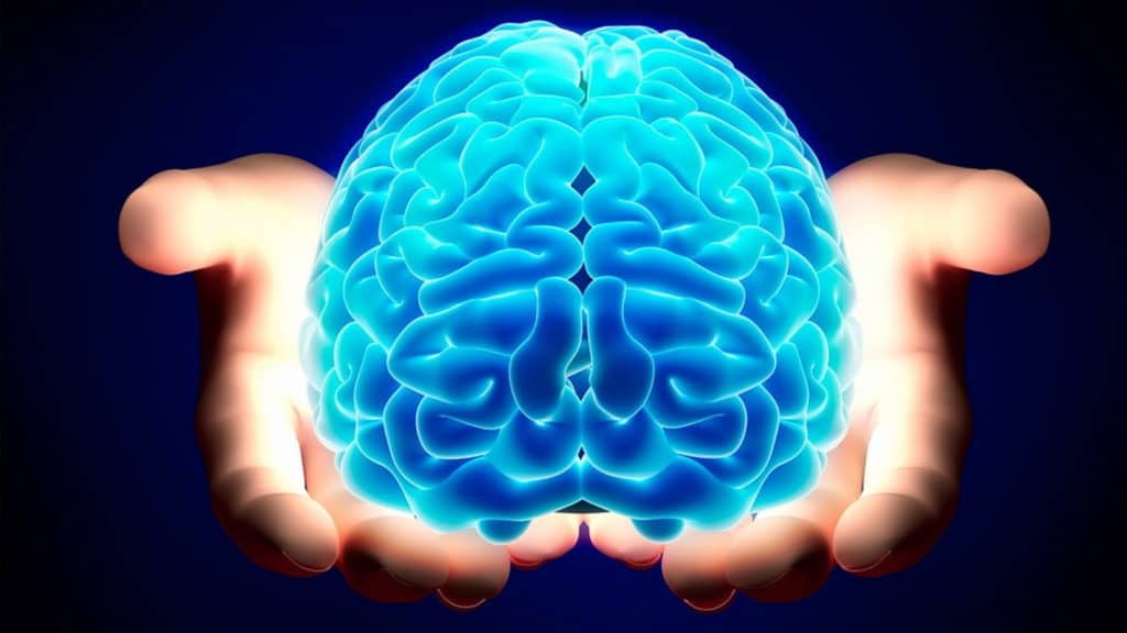 Credits: Neuroscienze.net