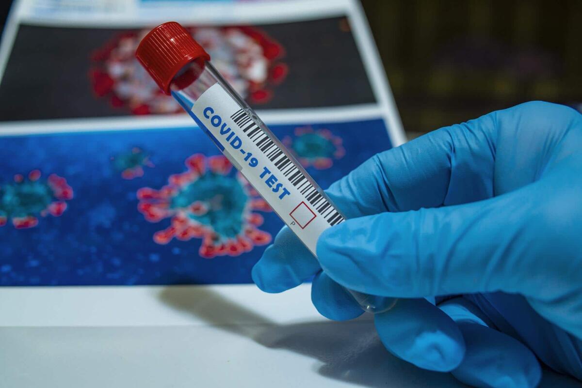 Covid-19: le allergie alimentari e l'asma possono aumentarne la protezione - Covid-19: le allergie alimentari e l'asma possono aumentarne la protezione