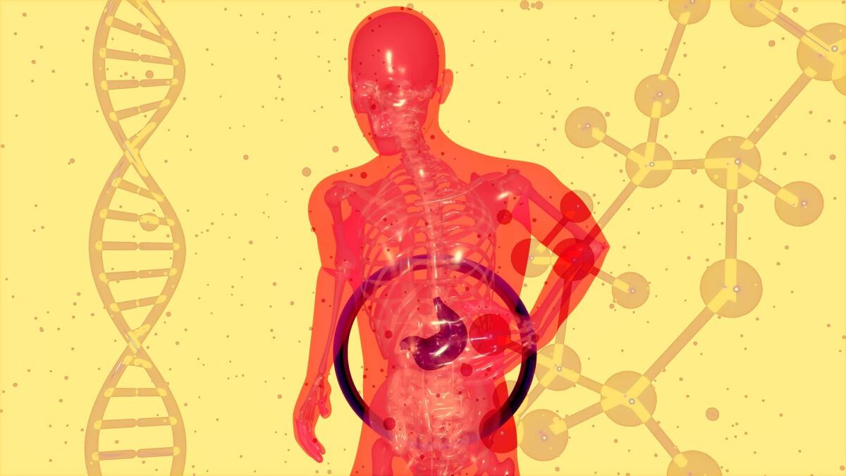 Microbiota umano: che cos’è ed effetti sul nostro organismo - 