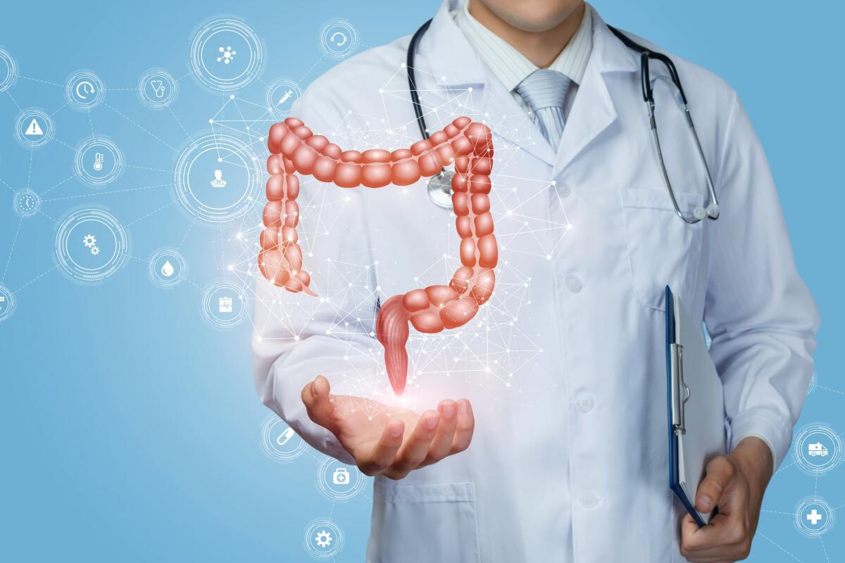 Anticorpi monoclonali miracolosi contro il tumore al colon-retto - Doctor shows the colon of a person on a blue background.