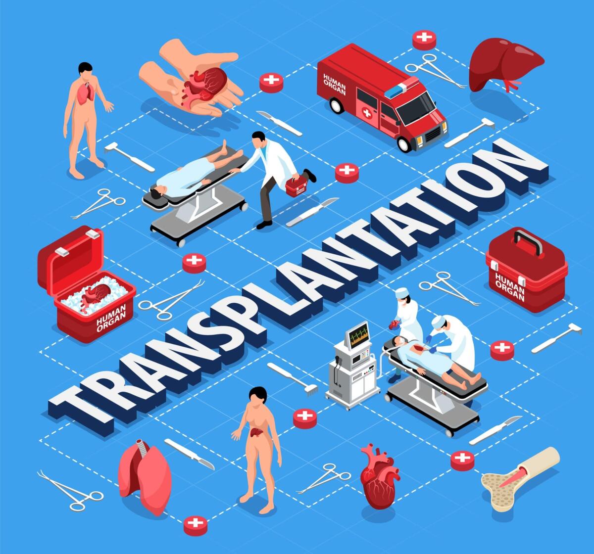 Trapianto di organi: ora si possono conservare più a lungo - Isometric donor human organs flowchart composition with editable text and isolated icons of organs with doctors vector illustration
