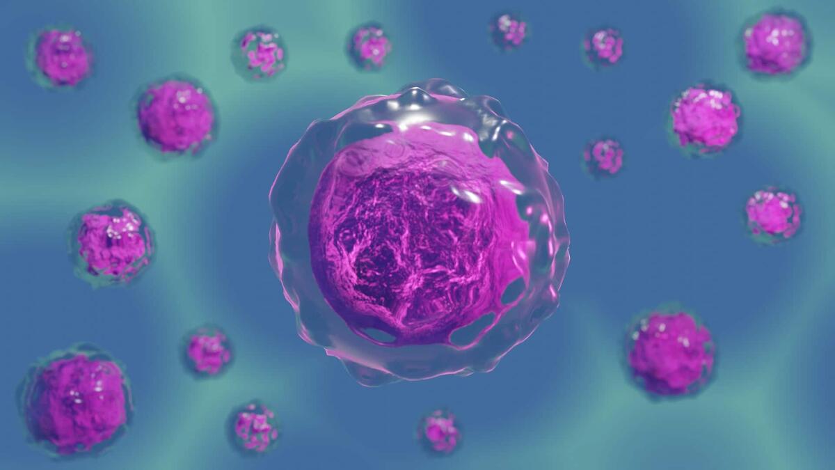 Tumore: scoperto un modo per non alimentare le cellule cancerose - 