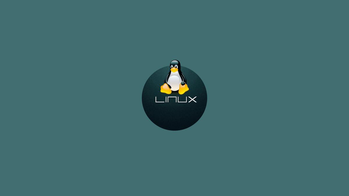 Linux, molto più di un sistema operativo: una filosofia - 