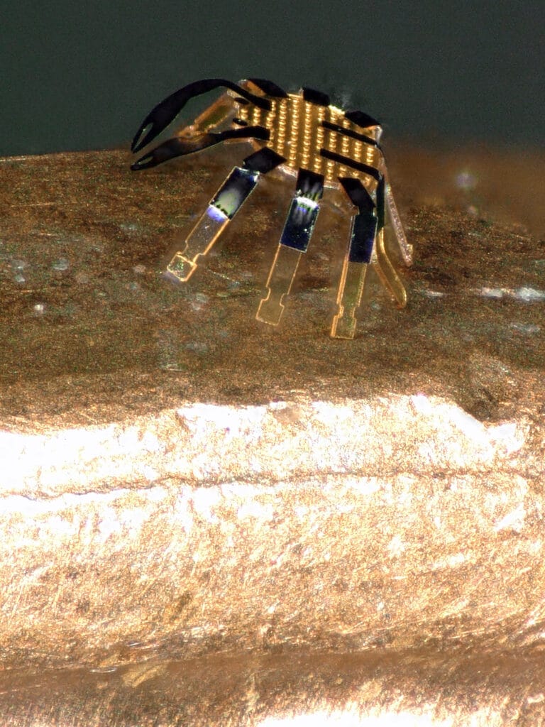 Close up granchio robot telecomandato. credit: Northwestern University