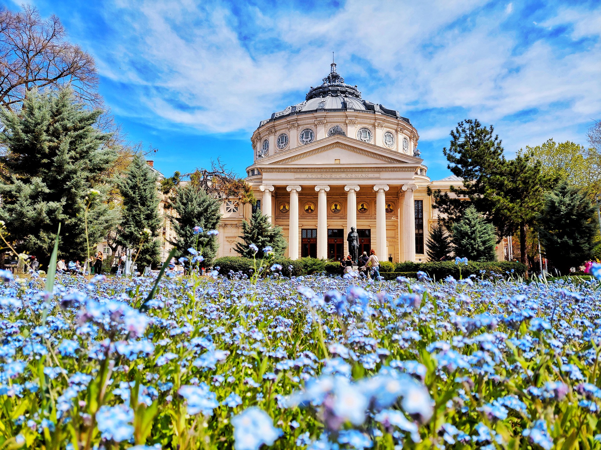Top Universities
