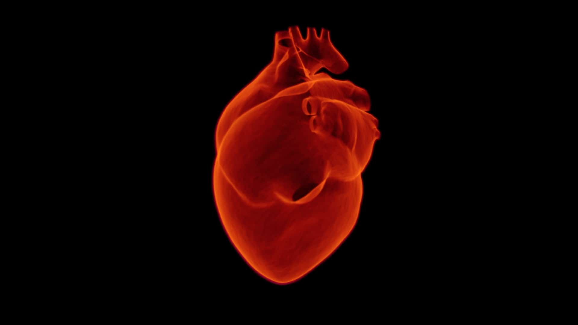 Verso la riparazione e rigenerazione dei cardiomiociti
