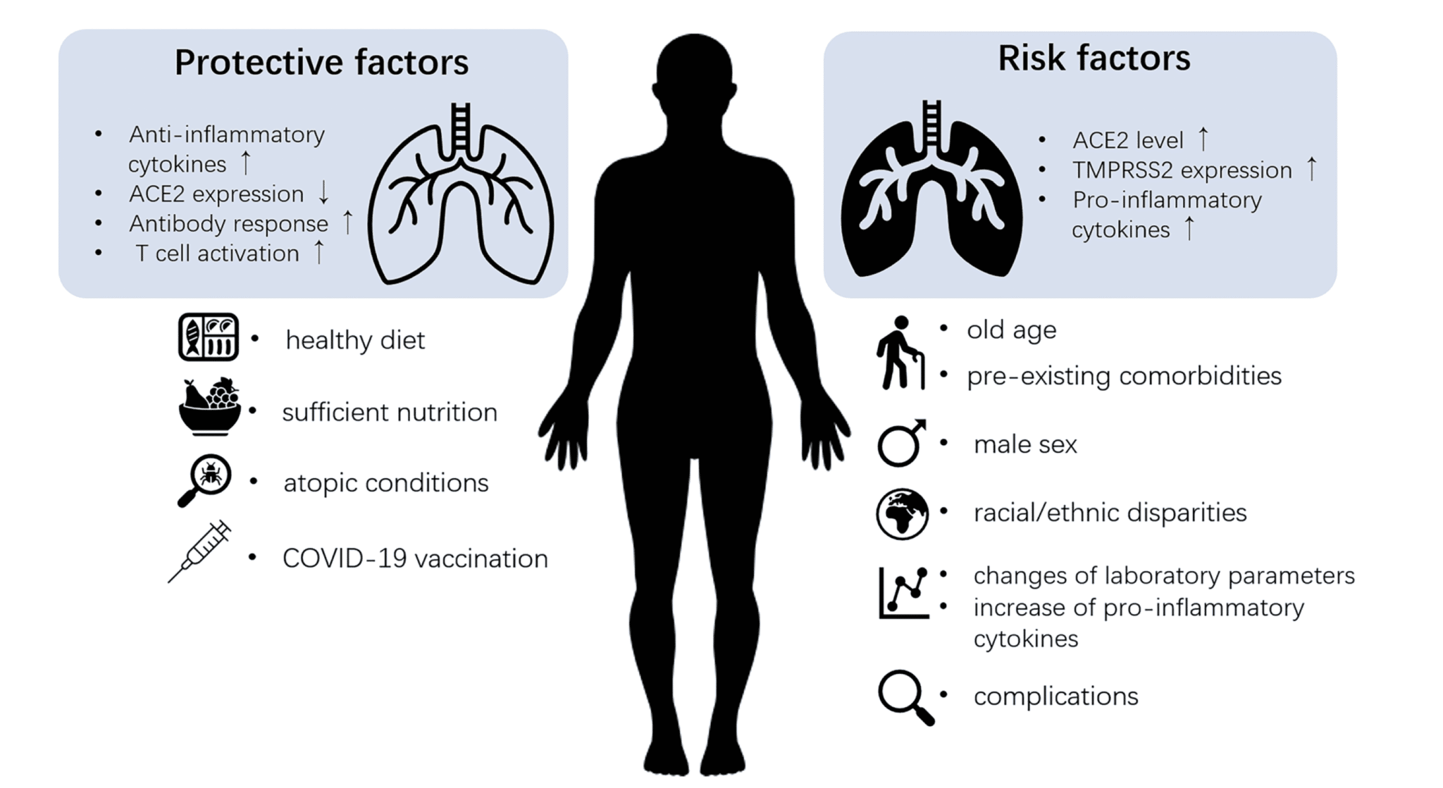 Parte dei fattori protettivi (a sinistra) e di rischio (a destra) di COVID-19 - Credits: Clinical Reviews in Allergy & Immunology