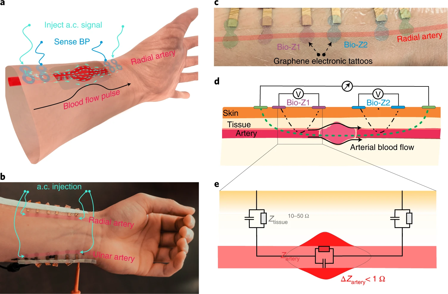 Rappresentazione della struttura del tatuaggio elettronico: a) schema tridimensionale dei GET posizionati sul polso sopra l'arteria radiale; b) Fotografia di 12 GET posizionati sulle arterie radiale e ulnare; c) Vista ravvicinata dei GET; d) Sezione trasv